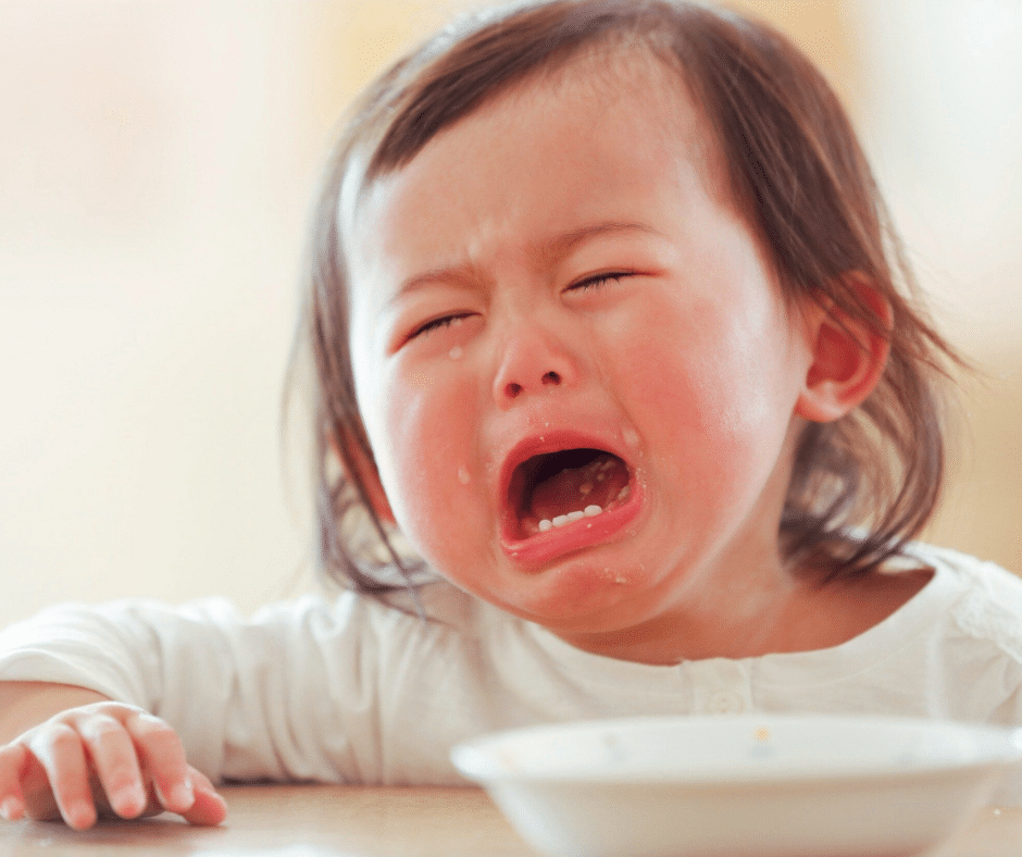 Untitled design - 2025-10-30T090756.640